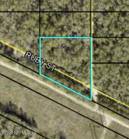 0 Ruby St, Hastings, FL 32145