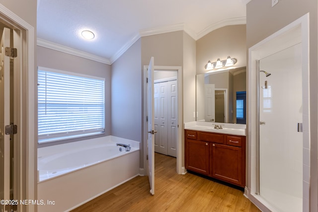 1300 Coopers Hawk Way, Middleburg, FL 32068 - full bathroom featuring wood finished floors, ornamental molding, vanity, a bath, and a stall shower