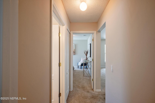 3 Bickford Dr, Palm Coast, FL 32137 - photo 39