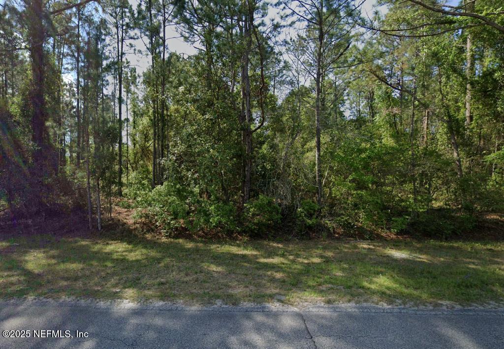 263 Georgetown Denver Rd, Georgetown, FL 32139 - photo 2