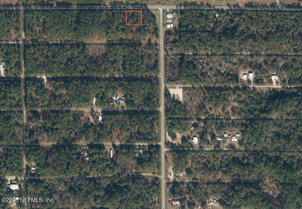 263 Georgetown Denver Rd, Georgetown, FL 32139 - photo 3