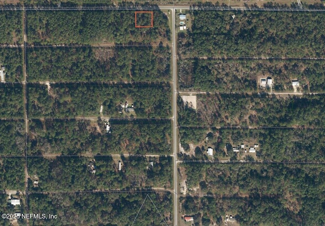 263 Georgetown Denver Rd, Georgetown, FL 32139 - photo 3