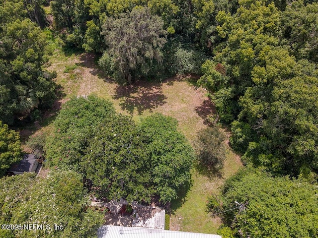 201 Baker Rd, Satsuma, FL 32189 - photo 28