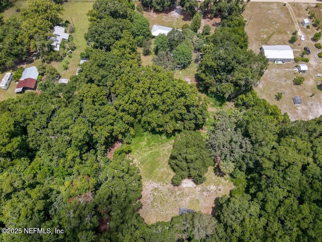201 Baker Rd, Satsuma, FL 32189 - photo 30