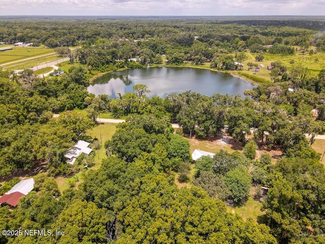 201 Baker Rd, Satsuma, FL 32189 - photo 33