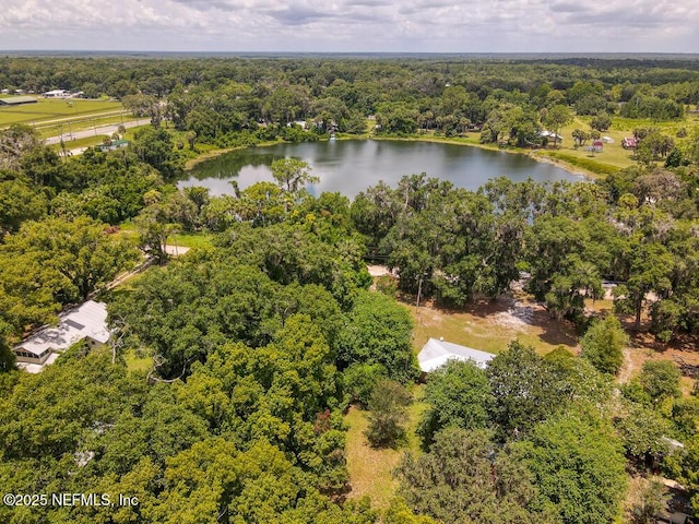 201 Baker Rd, Satsuma, FL 32189 - photo 35