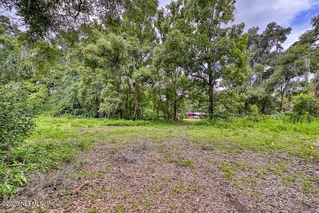 201 Baker Rd, Satsuma, FL 32189 - photo 42
