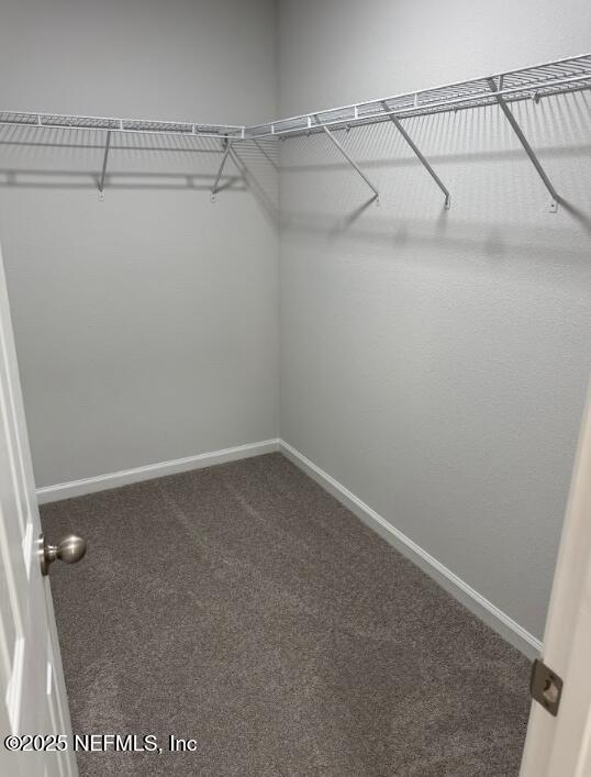 1711 Sunnyside Ave, Jacksonville, FL 32224 - photo 24