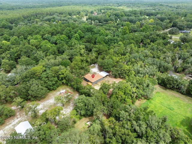 3565 Eds Ct, Green Cove Springs, FL 32043 - photo 47