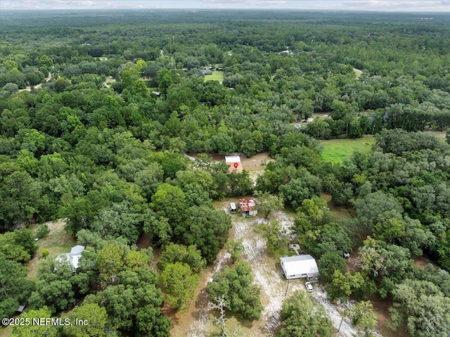 3565 Eds Ct, Green Cove Springs, FL 32043 - photo 48
