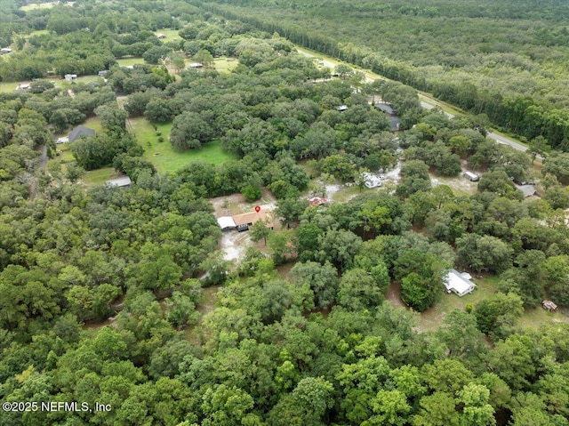 3565 Eds Ct, Green Cove Springs, FL 32043 - photo 49