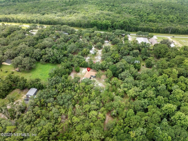 3565 Eds Ct, Green Cove Springs, FL 32043 - photo 50