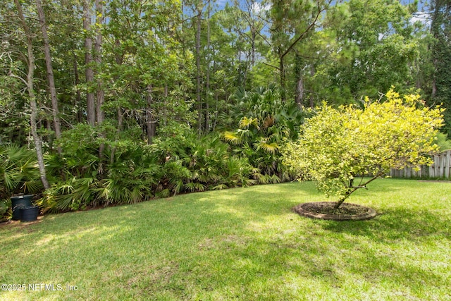 8826 Canopy Oaks Dr, Jacksonville, FL 32256 - photo 57