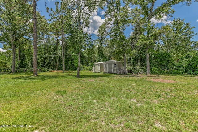 1926 Friendly Pl, Middleburg, FL 32068 - view of grassy yard with a storage shed