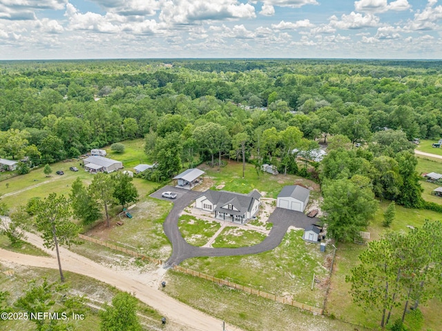 1926 Friendly Pl, Middleburg, FL 32068 - bird's eye view of a heavily wooded area