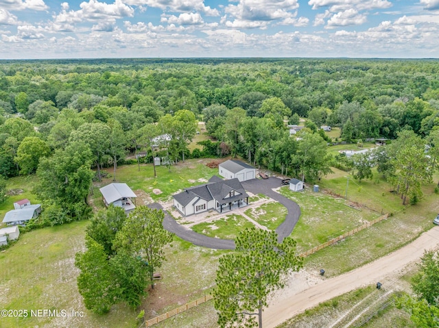 1926 Friendly Pl, Middleburg, FL 32068 - bird's eye view of a heavily wooded area