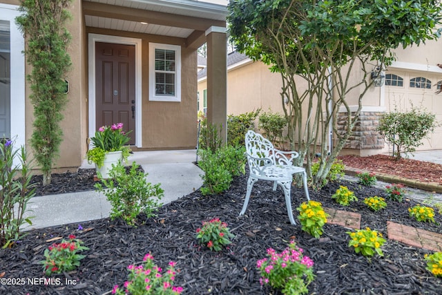 740 Briar View Dr, Orange Park, FL 32065 - photo 40