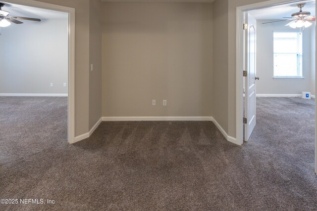 740 Briar View Dr, Orange Park, FL 32065 - photo 13