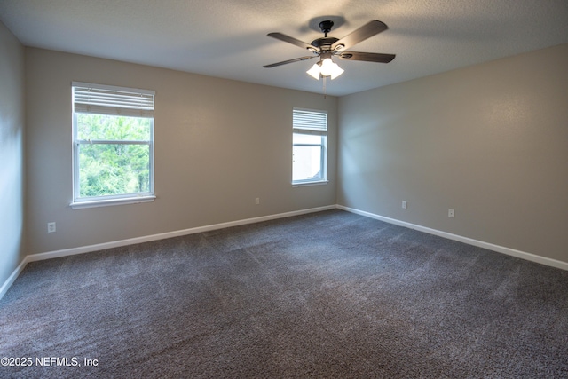 740 Briar View Dr, Orange Park, FL 32065 - photo 14