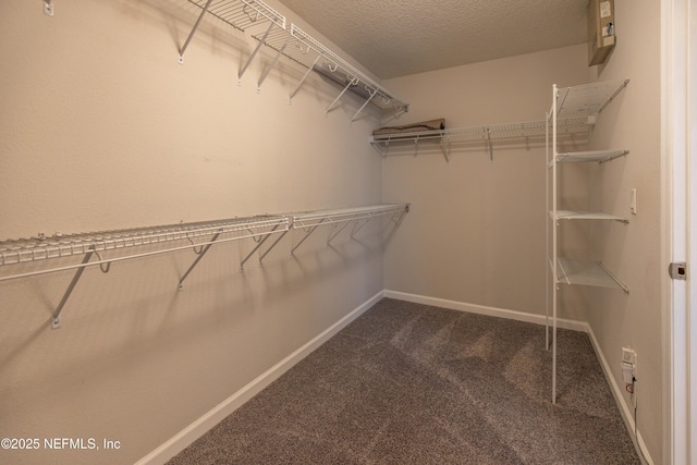 740 Briar View Dr, Orange Park, FL 32065 - photo 22