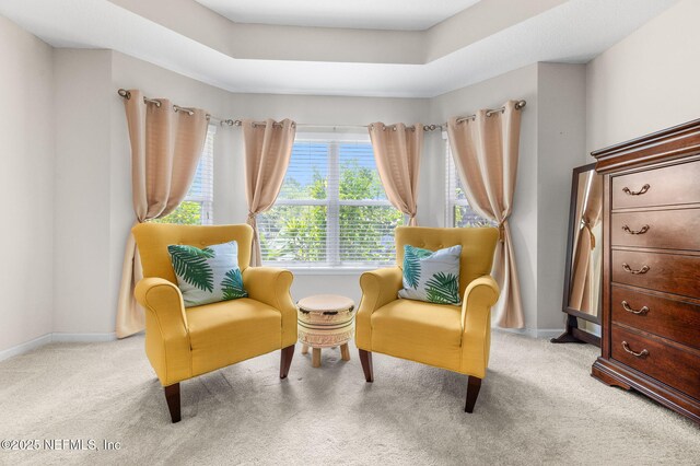 338 Deerfield Glen Dr, Saint Augustine, FL 32086 - sitting room featuring light colored carpet and a tray ceiling