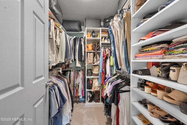 338 Deerfield Glen Dr, Saint Augustine, FL 32086 - walk in closet with carpet