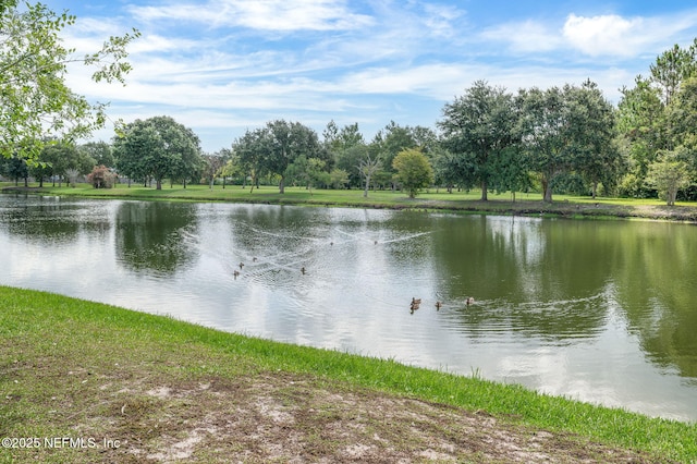 338 Deerfield Glen Dr, Saint Augustine, FL 32086 - water view