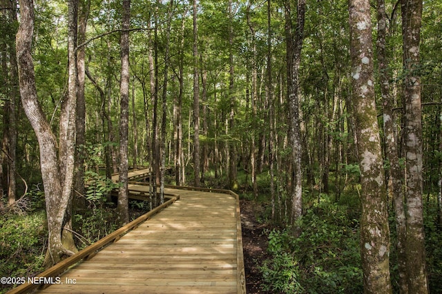 323 Belfort Ct, Saint Augustine, FL 32092 - dock featuring a forest view