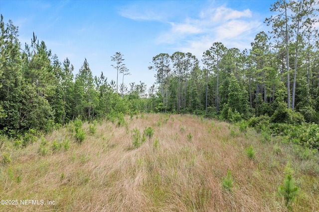 11990 Cabana Rd, Jacksonville, FL 32256 - photo 31