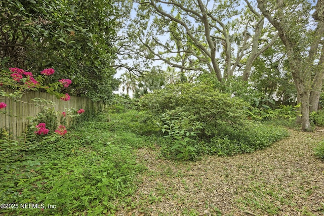 521 Birch Ct, Neptune Beach, FL 32266 - view of yard