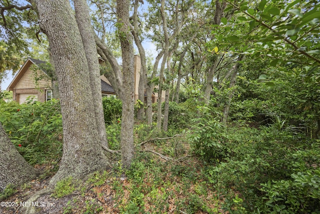 521 Birch Ct, Neptune Beach, FL 32266 - view of local wilderness