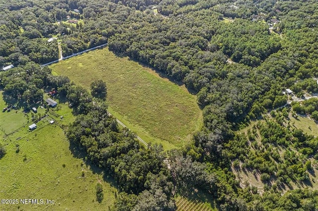 TBD SE 225th Dr, Hawthorne, FL 32640 - photo 4