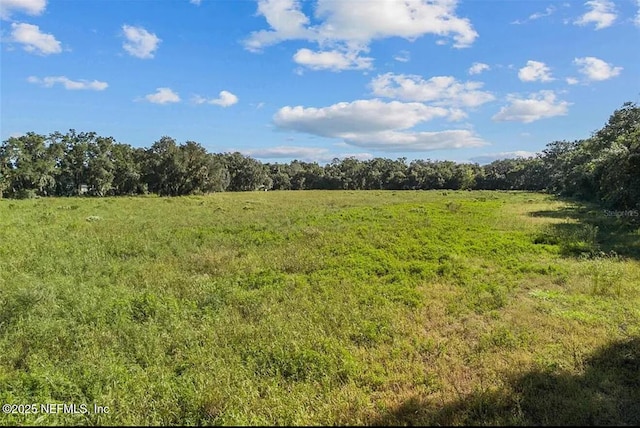 TBD SE 225th Dr, Hawthorne, FL 32640 - photo 5