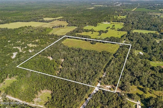 TBD SE 225th Dr, Hawthorne, FL 32640 - photo 6