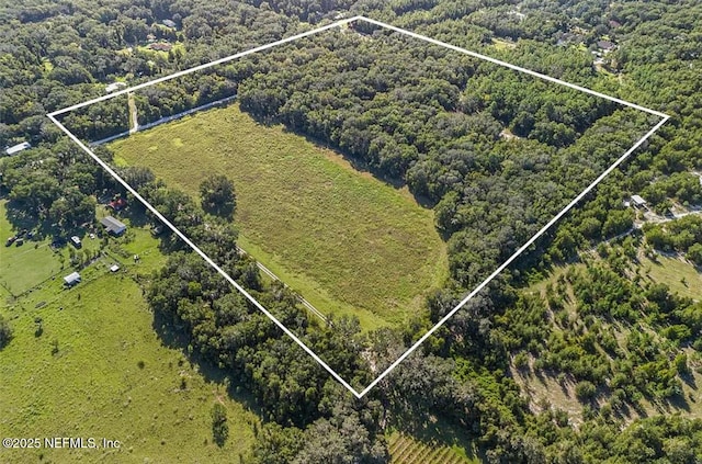 TBD SE 225th Dr, Hawthorne, FL 32640 - photo 8