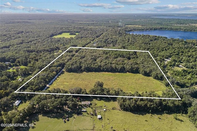 TBD SE 225th Dr, Hawthorne, FL 32640 - photo 9