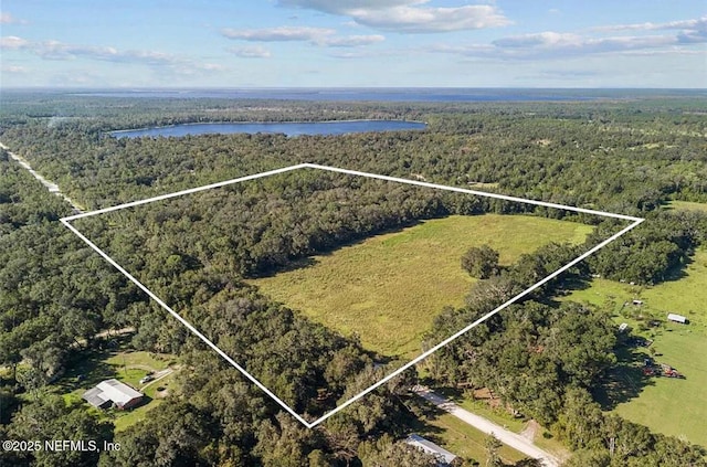 TBD SE 225th Dr, Hawthorne, FL 32640 - photo 10