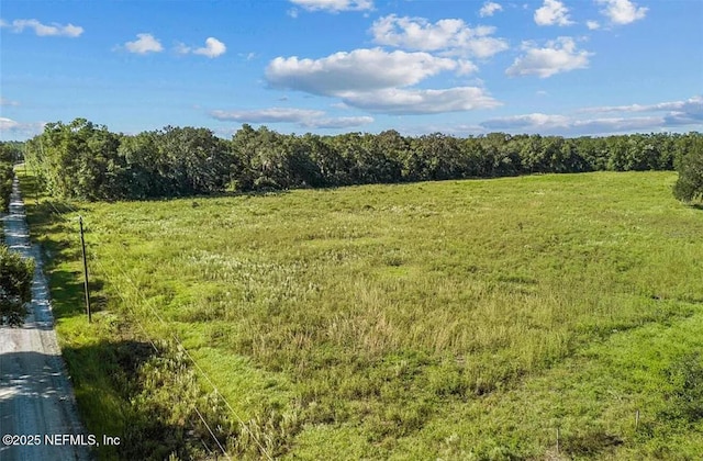 TBD SE 225th Dr, Hawthorne, FL 32640 - photo 11