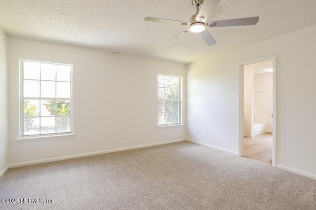 5409 Cumberland Forest Ln, Jacksonville, FL 32257 - photo 13