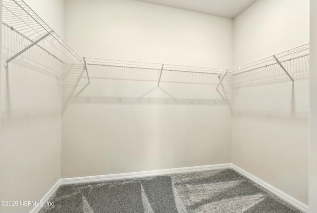 101 Glenhurst Ave, Ponte Vedra, FL 32081 - photo 27