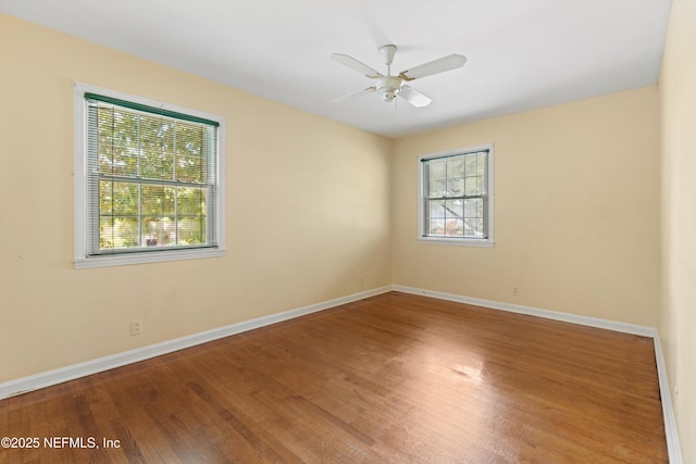 4274 Venetia Blvd, Jacksonville, FL 32210 - photo 18