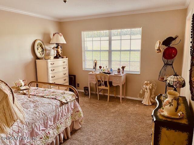 223 Worcester Rd, Pomona Park, FL 32181 - photo 31