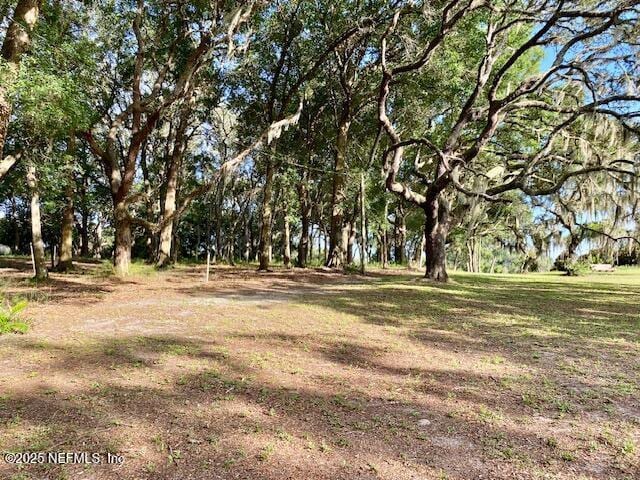 223 Worcester Rd, Pomona Park, FL 32181 - photo 39