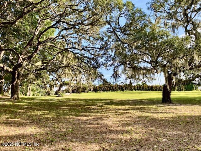 223 Worcester Rd, Pomona Park, FL 32181 - photo 48