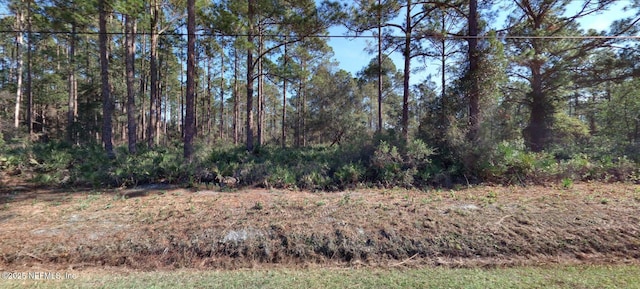 10560 Beckenger Ave, Hastings, FL 32145
