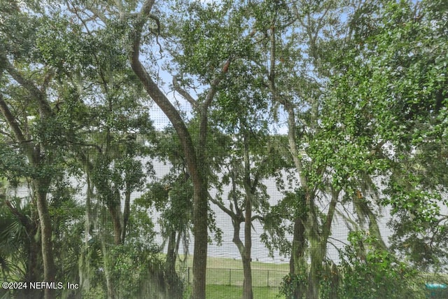 4300 S Beach Pkwy Unit 3206, Jacksonville Beach, FL 32250 - view of local wilderness