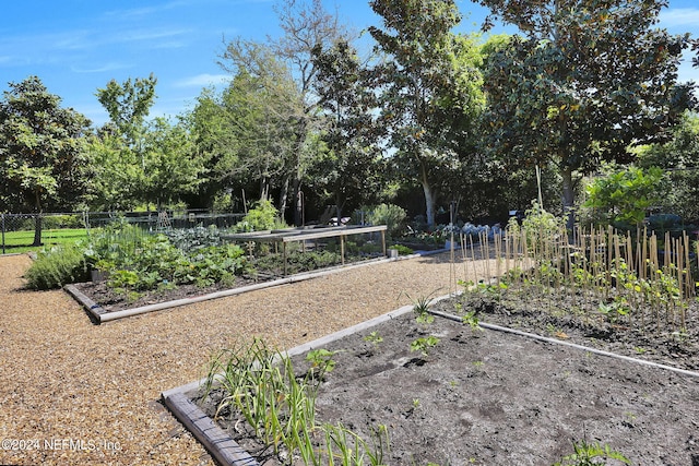 4300 S Beach Pkwy Unit 3206, Jacksonville Beach, FL 32250 - view of yard with a vegetable garden and view of wooded area