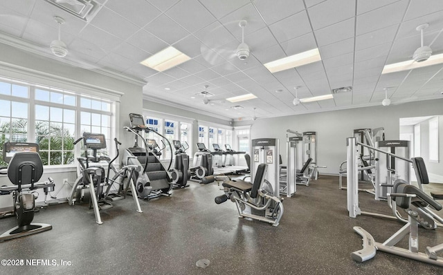 32 Awlleaf Ct, Saint Augustine, FL 32095 - gym with crown molding and a drop ceiling