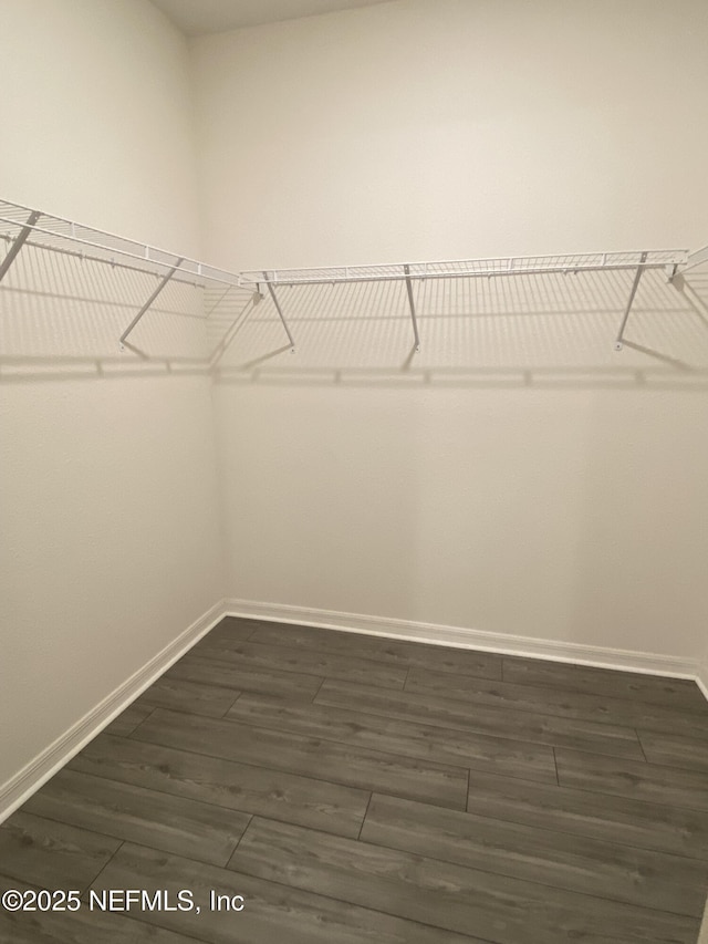66 Tree Frog Way, Saint Augustine, FL 32095 - walk in closet featuring dark wood finished floors