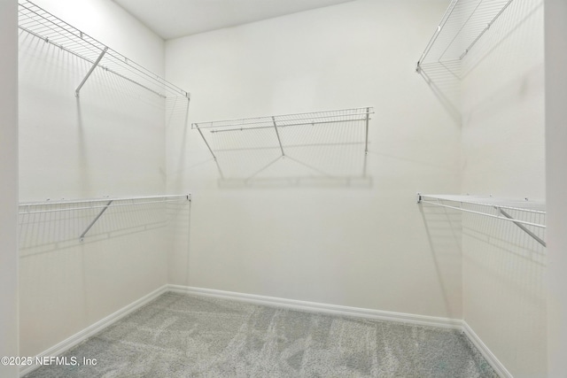 81 Glenhurst Ave, Ponte Vedra, FL 32081 - spacious closet featuring carpet
